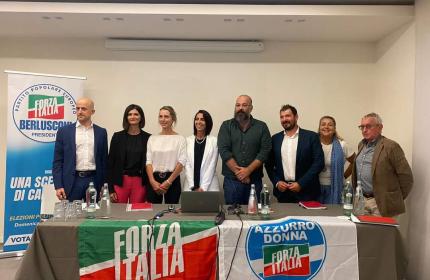 Datei:POL IT fi2013-2.jpg