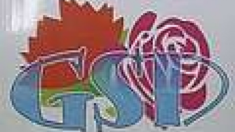 Datei:POL SM giovani-socialisti-democratici-l2.jpg