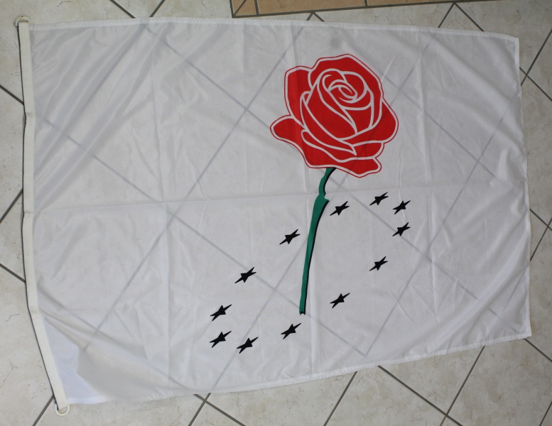 Datei:POL EU pes-ms1.jpg