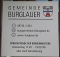 Burglauer-w-ms2.jpg