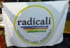 POL IT radicali-federalisti-laici-ecologisti3-.jpg