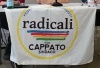 POL IT radicali-italiani-milano1-.jpg