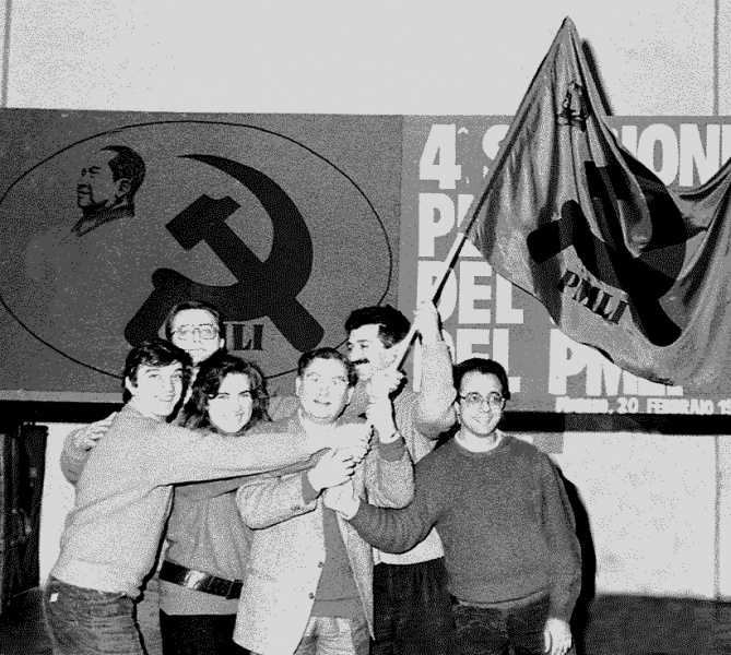 Datei:POL IT pmli9.jpg