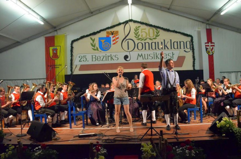 Datei:Hoechstaedt-a-d-donau blindheim2.jpg